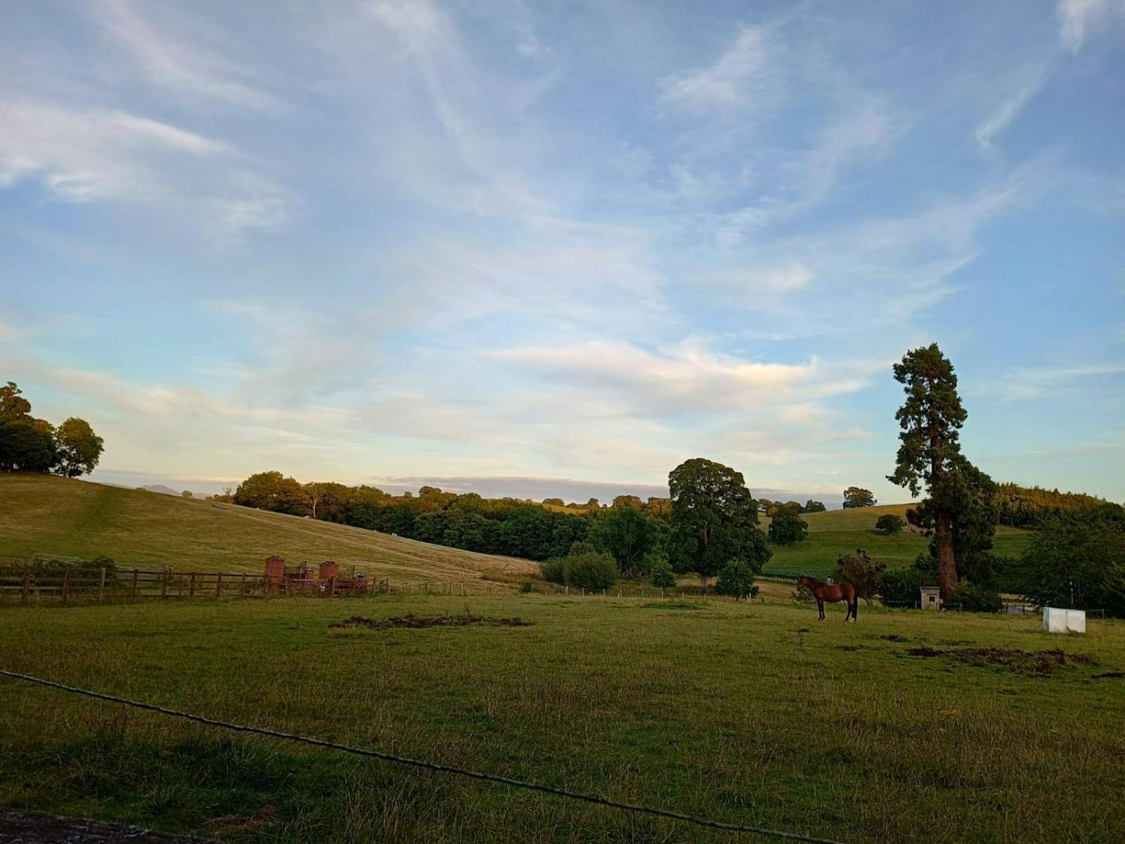 The Stables At Eriviat Hall Henllan  Esterno foto